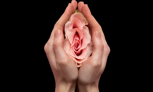 Labioplastia: ilustração médica de remodelação dos pequenos lábios visando conforto e proporção.